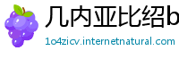 几内亚比绍betway体育苹果怎么下